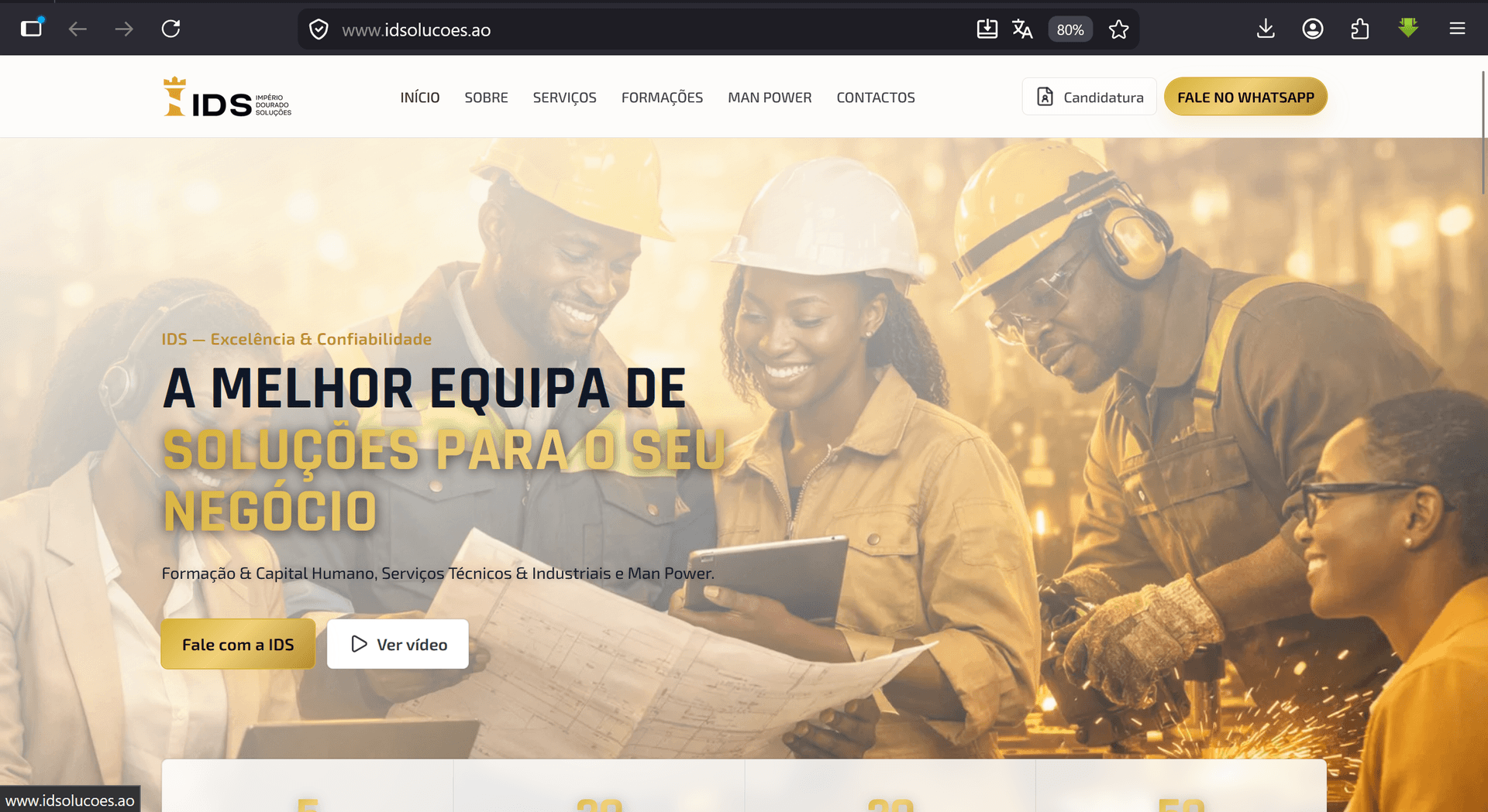 IDS Soluções screenshot